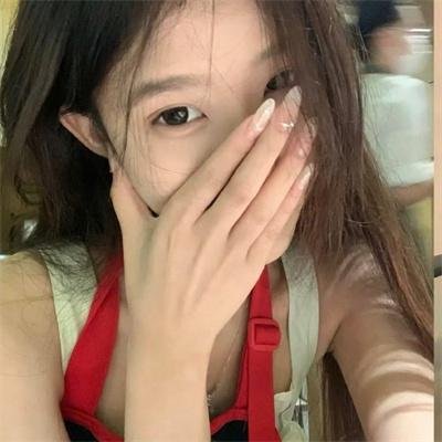 企鹅之岛:福克兰
